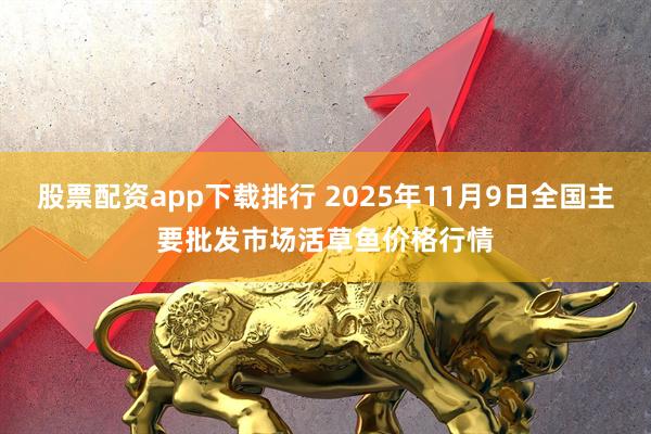 股票配资app下载排行 2025年11月9日全国主要批发市场活草鱼价格行情